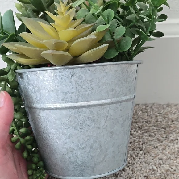 Succulent Arrangement in Gray Metal Pot - Picture 7 of 9